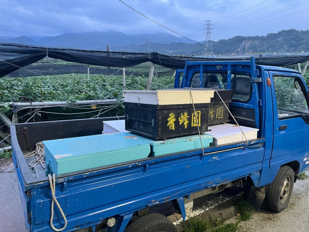 卓董農場 蜜蜂哥新居落成